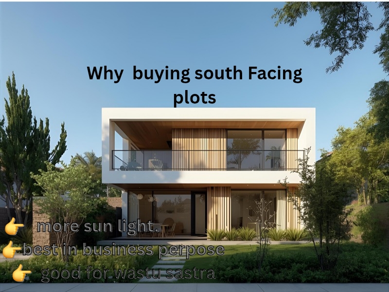 why buying south facing plots 20251005 084730 0001
